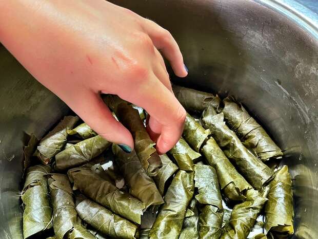 A hand places stuffed grape leaves in a metal bowl, surrounded by more neatly arranged grape leaves, possibly in preparation for cooking.